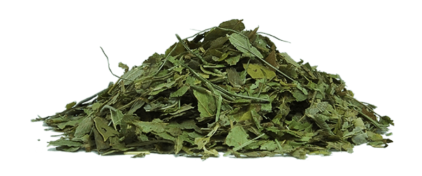 home_tea_offer4 home_tea_offer4