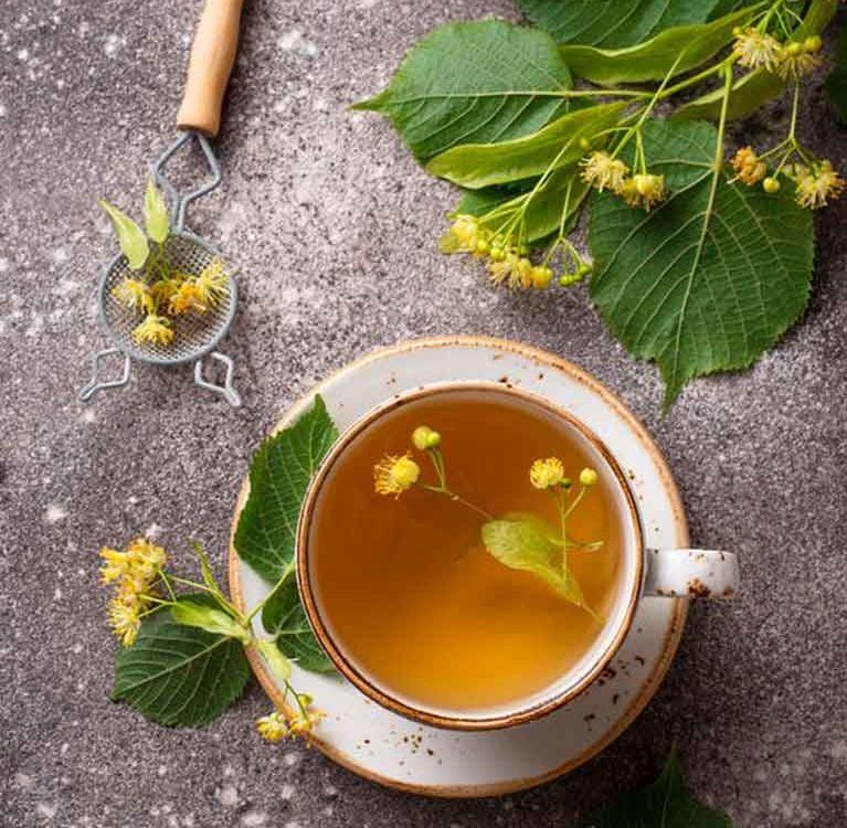 Липовый чай — чем полезен для нашего организма и тела