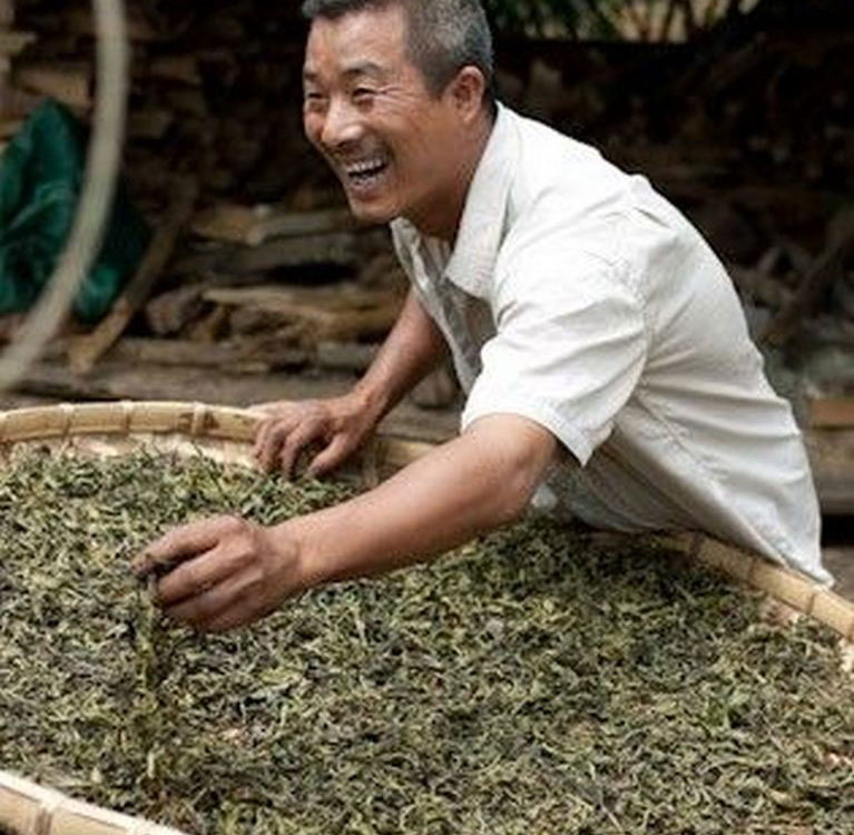 Чайные фермеры в Чжэцзяне обращаются к цифровым технологиям