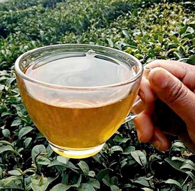 Darjeeling tea in Europe