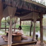 Современные чайные интерьеры и архитектурные решения